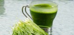 Хлорофилл - зеленая кровь растений и лучшая основа для НАПИТКА КРАСОТЫ ...
