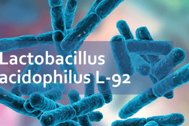 Lactobacillus acidophilus L-92 iklumba