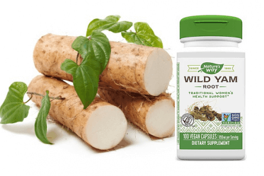 Properties and uses of wild yam