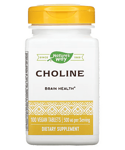 Nature's Way, Choline, 500 mg, 100 Tablets 